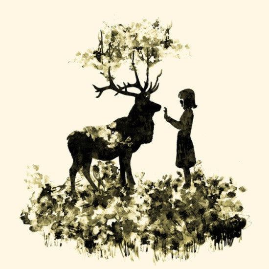 פגישה ביער - MECASA מיקאסה