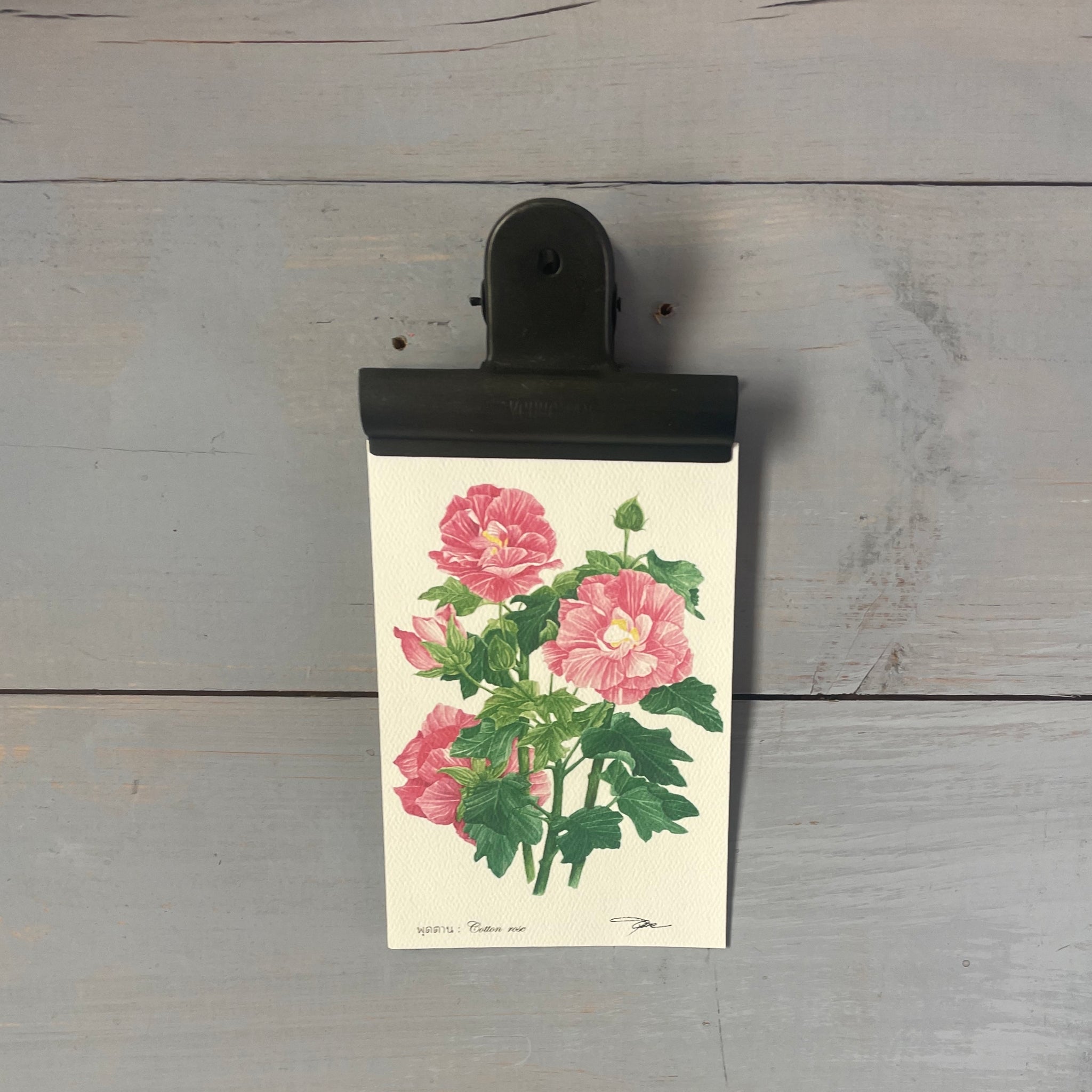 קליפס לקיר שחור